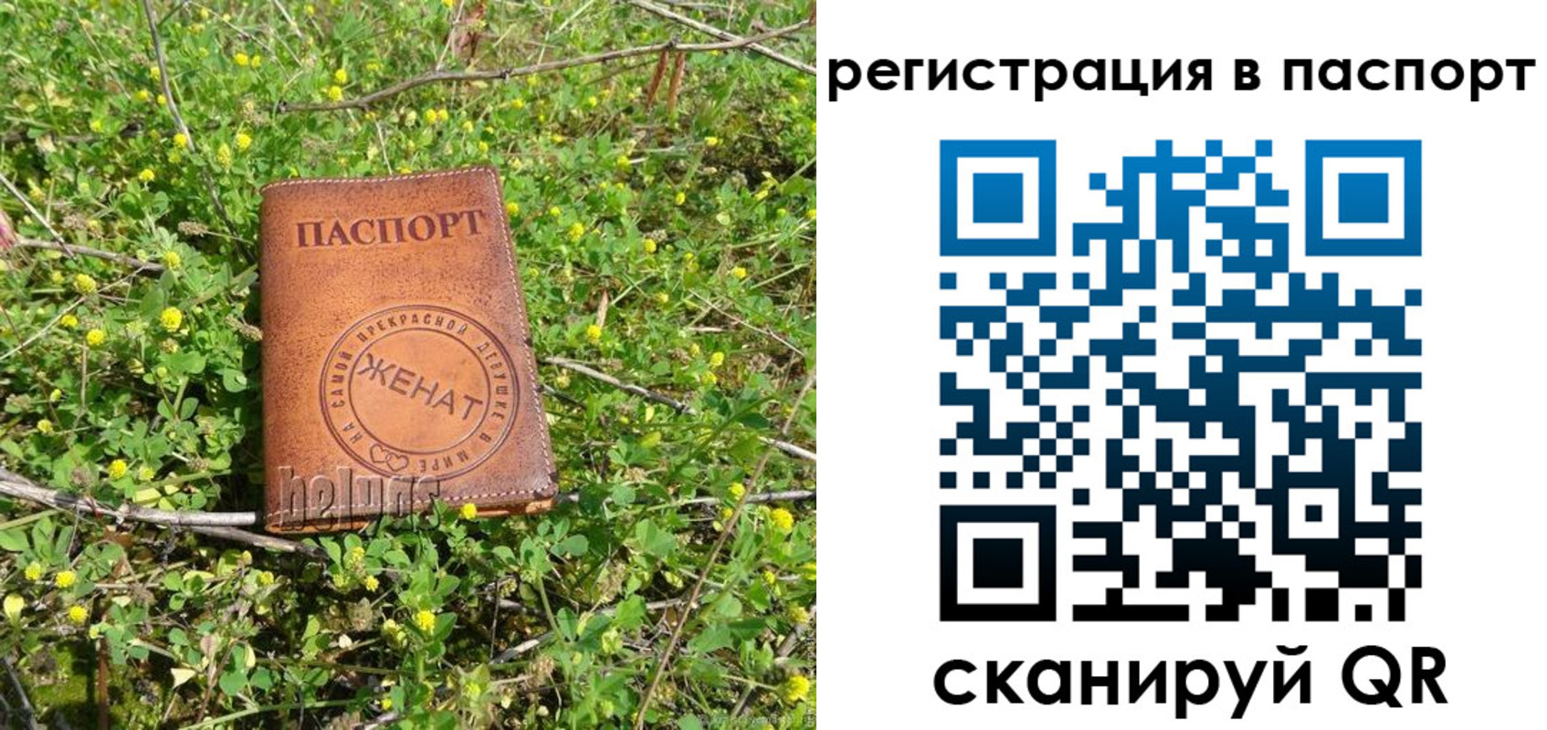 прописка законно в Охе